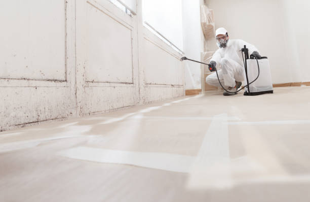 24/7 Emergency Attic Mold Remediation experts in Garden City, GA